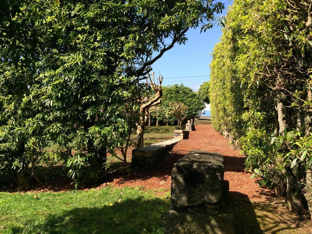 Вилла Quinta De Santa Clara Понта-Делгада Экстерьер фото